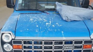 ارسال بار میکا ۲۵۰۰ مش | خرید و قیمت پودر میکا و کانی میکا