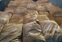 ارسال بار گل ماشی ممتاز | پودر گل ماش با کیفیت بالا