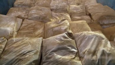 ارسال بار گل ماشی ممتاز | پودر گل ماش با کیفیت بالا