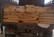 ارسال بار گل ماشی ممتاز به هشتگرد | قیمت گل ماشی و پودر گل ماش