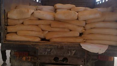 ارسال بار گل ماشی ممتاز به هشتگرد | قیمت گل ماشی و پودر گل ماش