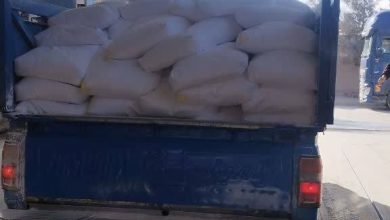 ارسال ۲۰۰۰ کیلو تالک وارداتی به جاجرود | قیمت کانی تالک و تالک افغان