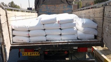 ارسال ۴۵۰۰ کیلو بالکلی معدنی میکرونیزه به شیراز | خرید بالکلی نسوز و قیمت بالکلی