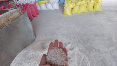 ارسال ۵ تن سیلیس ممتاز در دانهبندیهای مختلف به کرج | خرید سیلیس درجه یک برای تصفیه آب