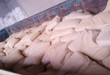 ارسال ۱۵ تن گل ماشی ممتاز به اشتهارد | گل ماشی برای خوراک دام و پیگمنت اکسید آهن