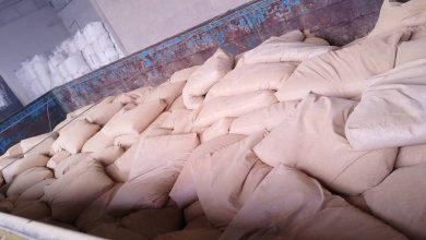 ارسال ۱۵ تن گل ماشی ممتاز به اشتهارد | گل ماشی برای خوراک دام و پیگمنت اکسید آهن