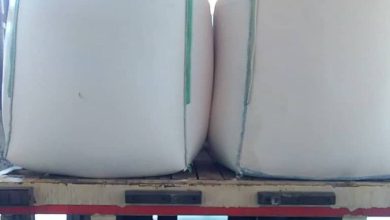 ارسال ۲۵ تن کائولن سفید ممتاز به یزد | خرید کائولن برای صنایع رنگ